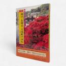 目で見る向日・長岡京・大山崎の100年