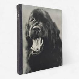 【洋書】Gentle giants: a book of Newfoundlands