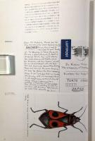 マーク・ダイオンの『驚異の部屋』 = Mark Dion's chamber of curiosities : ミクロコスモグラフィア : 東京大学総合研究博物館小石川分館開館1周年記念特別展