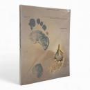 【オランダ語・英語洋書】Een tuin met duizend bloemen: A garden of dance（千の花の庭：舞踊の庭）