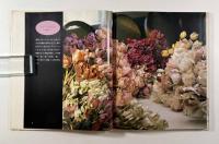 布花 : 季節の花たち