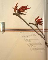 山の花・山の実 : 布花