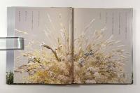 野の花・野の草 : 布花