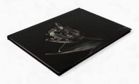 【洋書】Tulipa