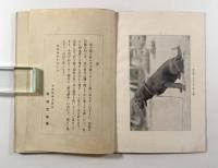 愛犬読本