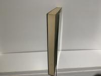 実用漢方療法 : 現代医学の盲点をつく