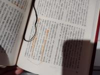 近江商人幕末・維新見聞録