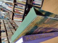 平成洛中洛外図