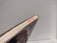 神話の構造 : ミトーレヴィストロジック