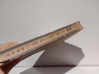 手相の解説 : 兩手を基礎とせる遺傳・博愛・結婚及び子供縁の研究