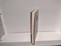 大ヴァイオリニストがあなたに伝えたいこと : 100+1のレッスン