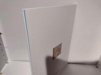 青龍白虎 : キトラ古墳壁画四神