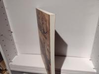 蒙古襲来絵詞展 : 開館二十五周年記念