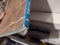 東寺の両界曼荼羅図 : 連綿たる系譜-甲本と西院本