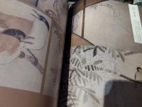 円山応挙から近代京都画壇へ