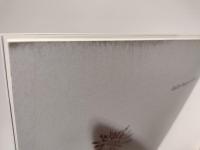 ガレ・ドーム・ラリック : アール・ヌーヴォーからアール・デコへ : 華麗なる装飾の時代