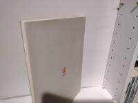 今井政之展 : 炎の宴