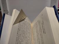 アメリカ資本主義と民主主義