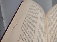 アメリカ経済史の基本問題