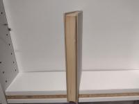 トクヴィルの政治思想 : 政治における知性