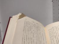 国家と経済 : フランス・ディリジスムの研究