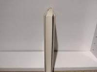 天の河うつつの花