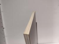 上海博物館所蔵「青花磁器展」図録 : 名品でたどる元,明,清時代の染め付け