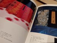 私の製本装幀芸術の世界