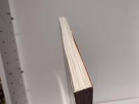 Ports of entry : William S. Burroughs and the arts