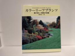 カラーリーフプランツ : 葉の美しい植物の図鑑