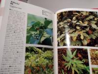 樹木図鑑