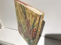 その日その日 : 千澄子随筆集