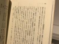 日本人の霊魂観 : 鎮魂と禁欲の精神史