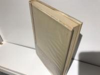 美は救済たりうるか