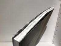 金子みすゞの110年