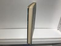 縄文杉の木蔭にて : 屋久島通信