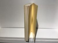 ニヒリズム : 内面性の現象学