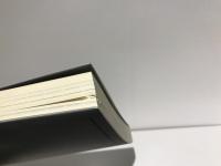 都市に聴け : アーバン・スタディーズから読み解く東京