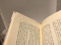 アメリカ文学とニューヨーク