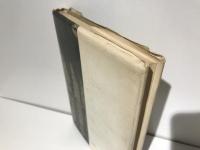 ナチスとシュミット : 三重国家と広域秩序