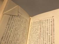 ナチスとシュミット : 三重国家と広域秩序