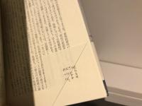 独裁 : 近代主権論の起源からプロレタリア階級闘争まで