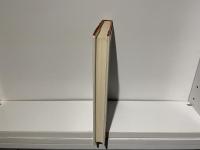 アメリカ : 砂漠よ永遠に