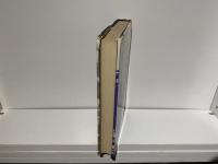 アメリカの都市小説