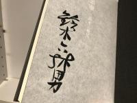 悪霊 : 句集