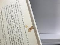 古代史と民俗学