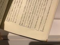 朝鮮三・一独立運動