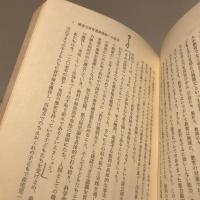 育ち合う子どもたち : 京都・与謝の海の理論と実践
