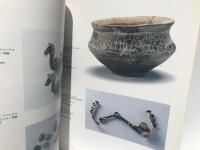 南ロシア騎馬民族の遺宝展 : ヘレニズム文明との出会い