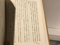 日本における中國文學　2冊セット